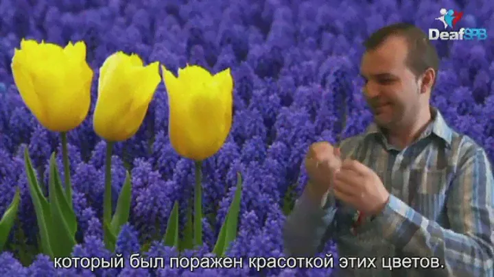 Тюльпан - Выражение мира / Tulip - Expression of the world (DeafSPB)