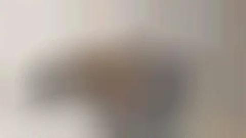 🔥ЧЕСТНЫЕ КУХНИ🔥 Есения 8-910-544-80-55 Дмитрий 89533297000  ОБРАЩАЙТЕСЬ, НЕ ПОЖАЛЕЕТЕ!
