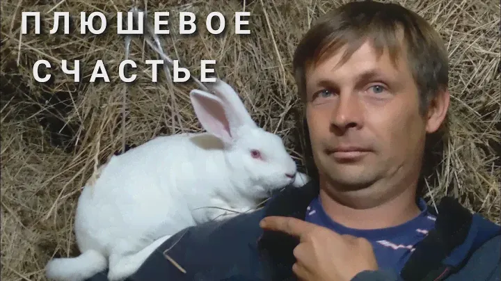 Кролики породы РЕКС.4 года содержания.